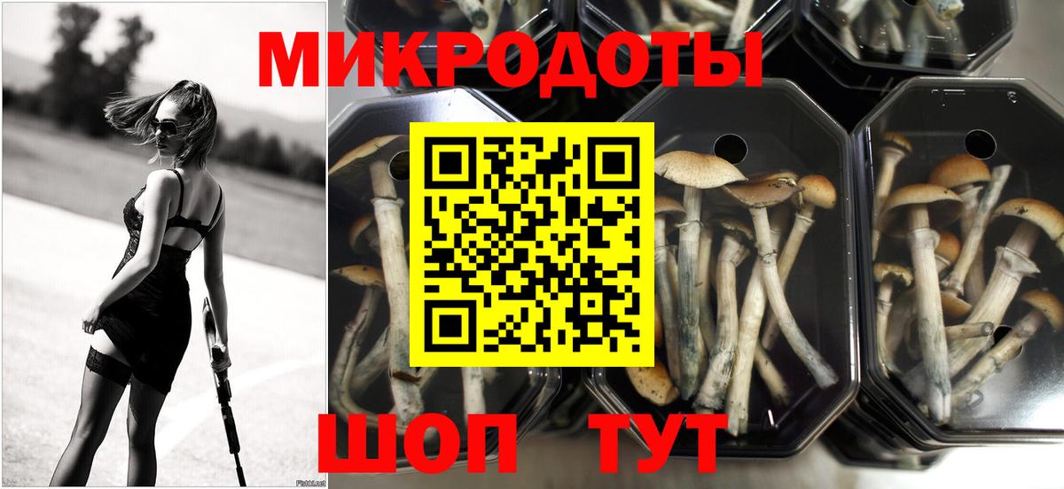 Галлюциногенные грибы Psilocybe  Вход с VPN  Донецк  купить  цена  Галлюциногенные грибы Psilocybine cubensis 